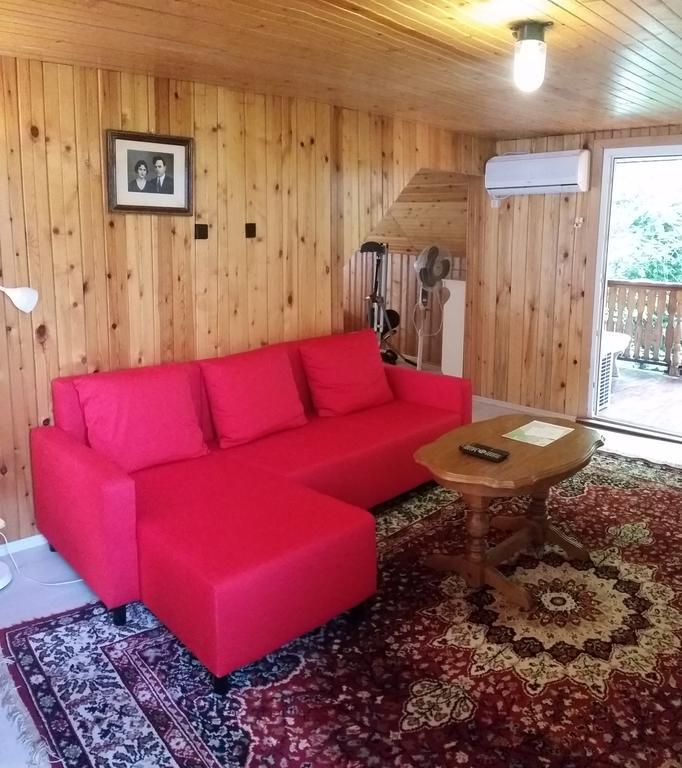 Lelia Residence Apartments براشوف المظهر الخارجي الصورة